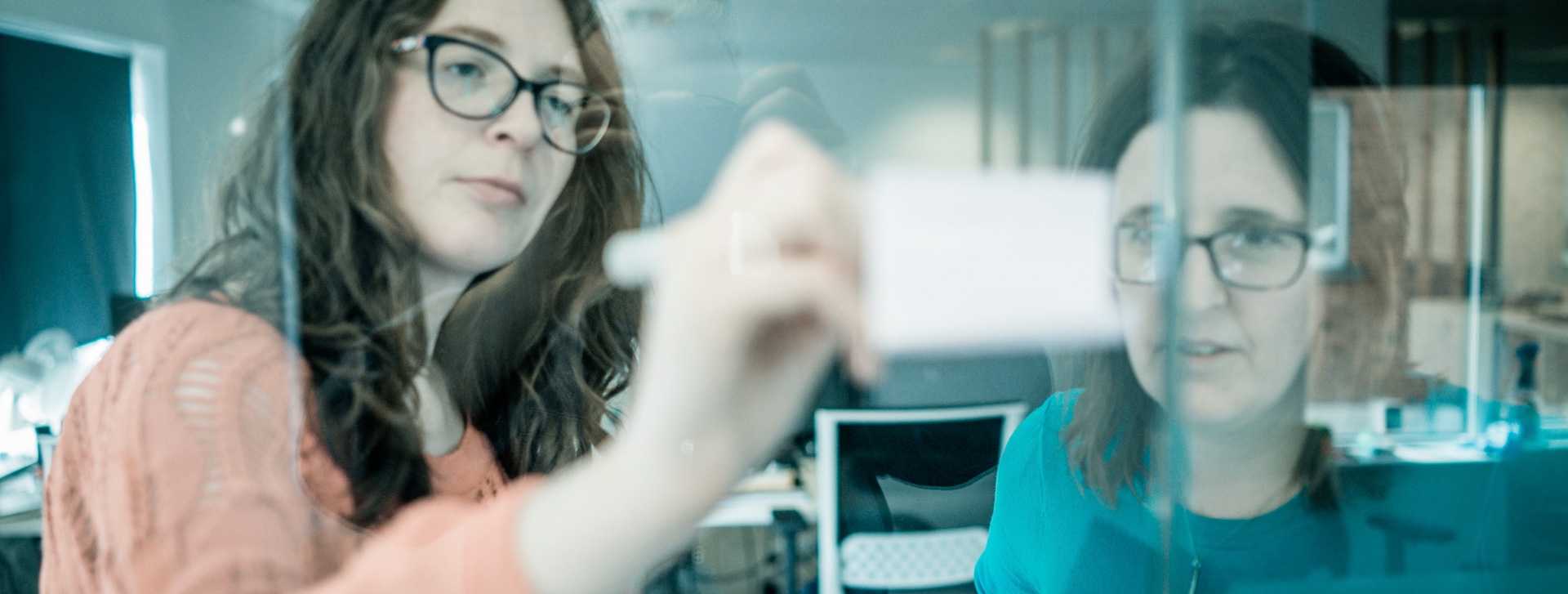 Usability Studies